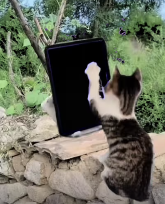 Pickaboo - is that you! Little Frenchie Yoda